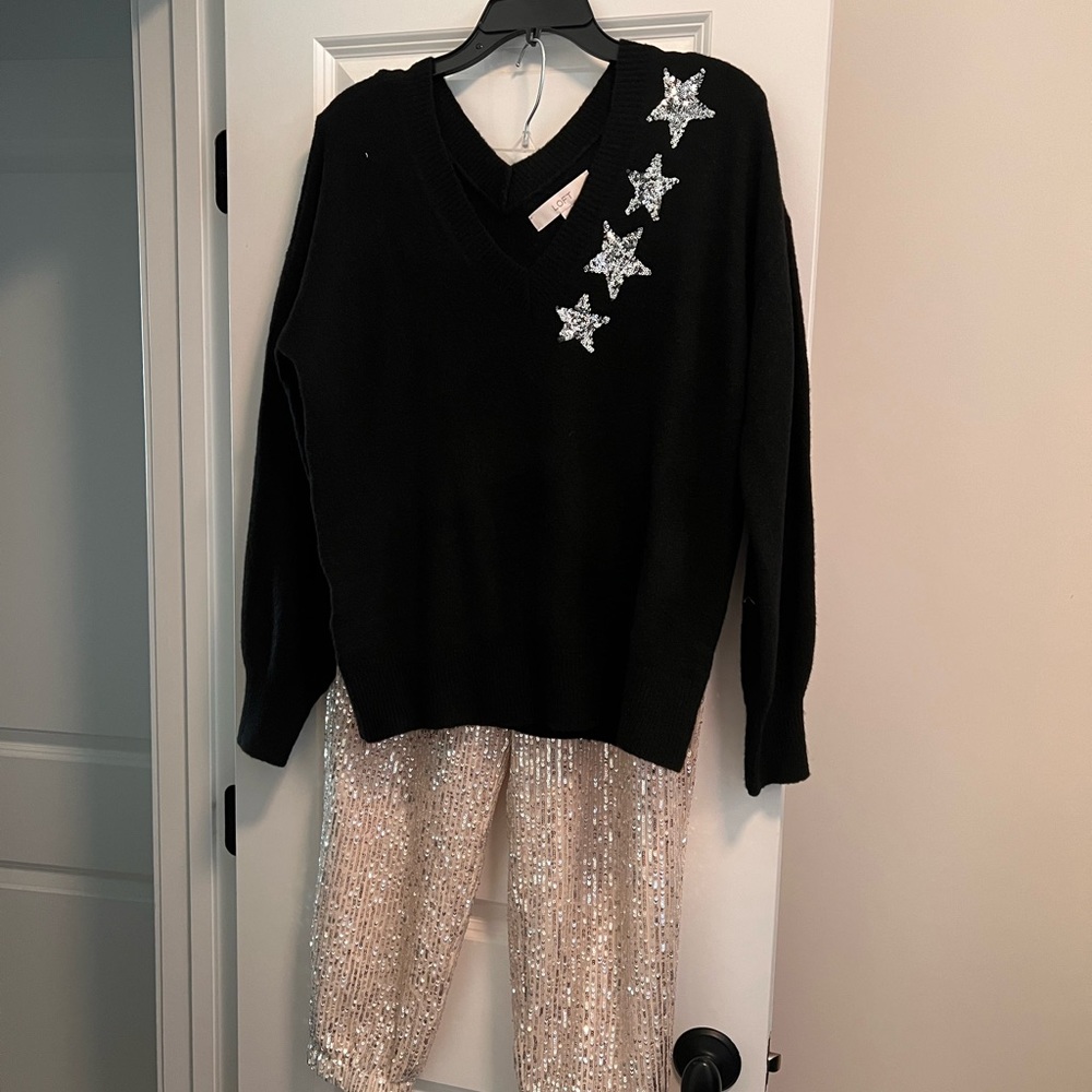 NWT sz M Loft star sweater